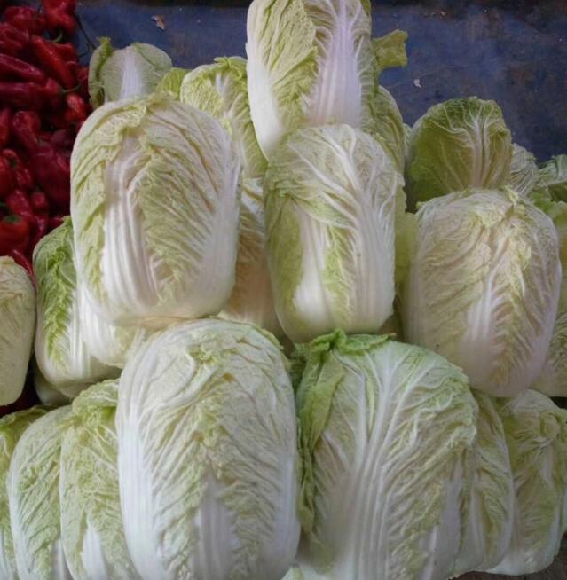 佛山蔬菜配送 佛山蔬菜配送